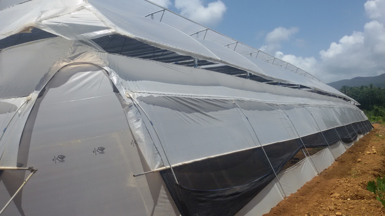 Greenhouse Project 55